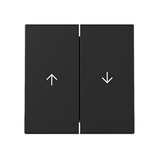 GIRA 3294005 Wippe 2f Pfeil System 55 Schwarz m