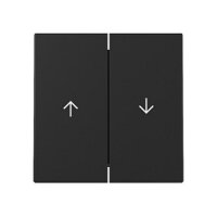 GIRA 3294005 Wippe 2f Pfeil System 55 Schwarz m
