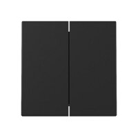 GIRA 3295005 Wippe 2f System 55 Schwarz m