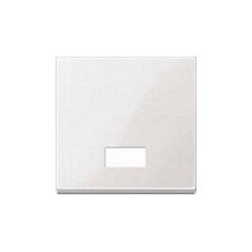 MERTEN 432819 Wippe für Schalter. Symbolfenster pws SYSTEM M