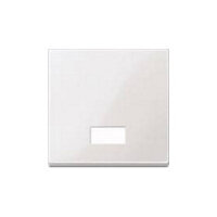 MERTEN 432819 Wippe für Schalter. Symbolfenster pws...