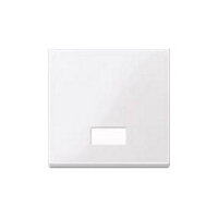 MERTEN 432825 aws Wippe m Symbolfenster rechteckig...