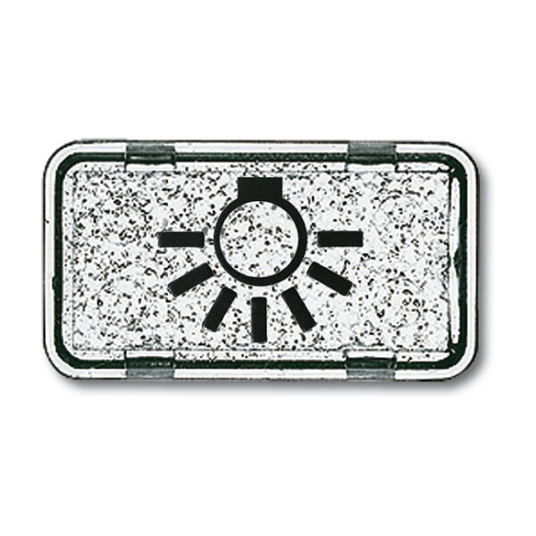 BUSCH JAEGER BJ 2622LI-101 Tastersymbol Licht Allwetter 44 glasklar