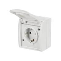 BUSCH JAEGER BJ 20EW-54 Steckdose m.Klappdeckel ocean IP44 alpinweiß