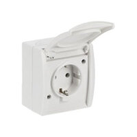 BUSCH JAEGER BJ 20EW-54 Steckdose m.Klappdeckel ocean IP44 alpinweiß