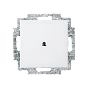 BUSCH JAEGER BJ 2538-914 Blindzentralscheibe alpinws Busch balance SI Abd.Datenkommunikation