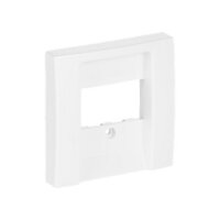 BUSCH JAEGER BJ 2539-914 Zentralscheibe aws Busch-balance SI Abd.Datenkommunikation