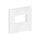 BUSCH JAEGER BJ 2539-914 Zentralscheibe aws Busch-balance SI Abd.Datenkommunikation