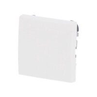 BUSCH JAEGER BJ 2506-914 Wippe Busch-balance SI...