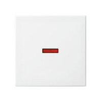 BUSCH JAEGER BJ 1789-914 Wippe Busch-balance SI...
