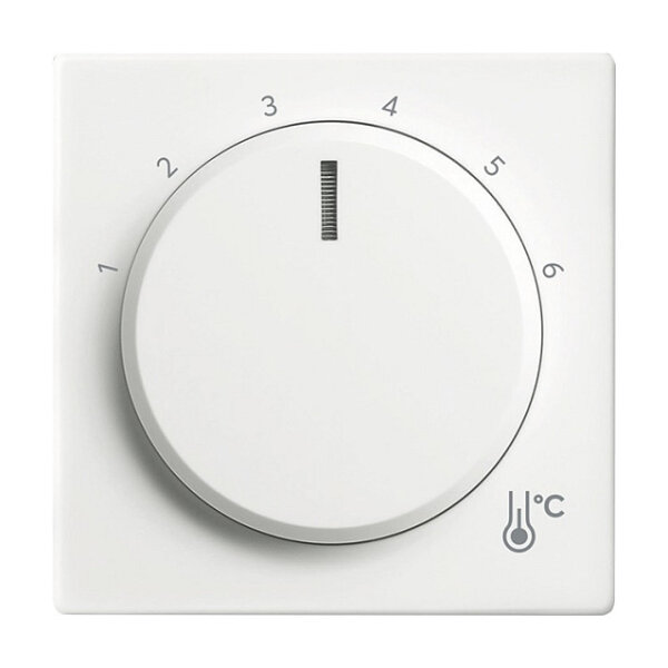 BUSCH JAEGER BJ 1794 R-84 1794 R-84 Zentralscheibe Temperatur. rund