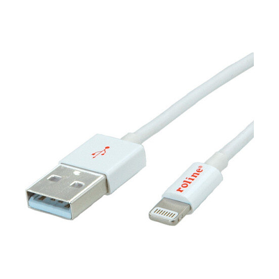 ROLINE 8PIN/USB LADE-/SYNCHROKABEL