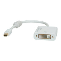 ROLINE ADP.KABEL MINIDP-DVI ST/BU V1.2