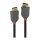 LINDY DisplayPort Kabel Anthra Line 0.5m
