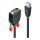 LINDY DisplayPort an DVI Kabel 2m