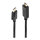 LINDY DisplayPort an HDMI Kabel 4K30 (DP: passiv) 5m