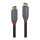 LINDY USB 3.1 Kabel Typ C/C 5A PD Anthra Line M/M 1.5m
