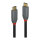 LINDY USB 3.2 Kabel Typ C/C 5A PD Anthra Line M/M 2m
