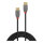 LINDY USB 2.0 Kabel Typ C/C Anthra Line M/M 0.5m