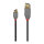 LINDY USB 2.0 Kabel Typ A/C Anthra Line M/M 1m