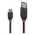 LINDY USB 3.1 Kabel Typ A/C 3A Black Line M/M 1m
