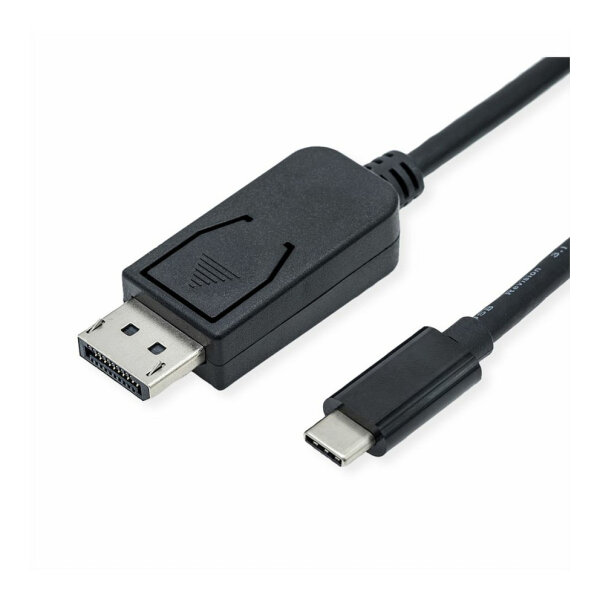 ROLINE ADAPTERKBL USB-C-DP.2M
