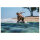 Shokz OpenSwim Pro Grey S711