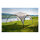 COLEMAN Pavillon Event Shelter 4,5 x 4,5 m