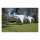 COLEMAN Pavillon Event Shelter 4,5 x 4,5 m