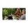 CAMPINGAZ 360 Grill CV Anthrazit