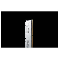 KINGSTON FURY Beast 32GB DIMM DDR5 5600MT/s DDR5 CL36 White EXPO