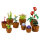 LEGO Icons Mini Pflanzen 10329