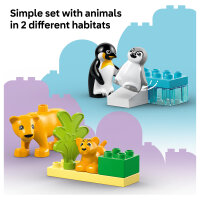 LEGO 10442 DUPLO Town Wildtier-Familien: Pinguine und Lwen