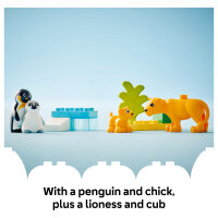 LEGO 10442 DUPLO Town Wildtier-Familien: Pinguine und Lwen