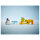 LEGO 10442 DUPLO Town Wildtier-Familien: Pinguine und Lwen
