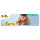 LEGO 10442 DUPLO Town Wildtier-Familien: Pinguine und Lwen