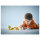 LEGO 10442 DUPLO Town Wildtier-Familien: Pinguine und Lwen