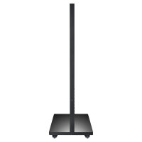 AG neovo PF-55H 138.7cm(55") Einseitige Signage Stele (Speditionsversand)