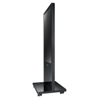 AG neovo PF-55H 138.7cm(55") Einseitige Signage Stele (Speditionsversand)