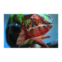 (3840x2160) EPSON EH-TW7100 3000-Lumen 3-LCD 16:9 3D...