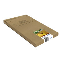 Epson Tinte 604XL C13T10H64510 Multipack (BKMCY) bis zu...