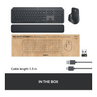 Logitech MX Keys Combo for Business QWERTY US