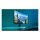 80cm/31,5" (2560x1440) Philips Evnia 32M2C3500L/00 16:9 WQHD Fast VA 1ms 180Hz HDMI DisplayPort VESA HDR FreeSync Curved