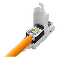 DIGITUS RJ45-Stecker Cat6a für Feldanwendungen ungeschirmt