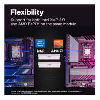 Crucial Pro 6000 Kit 64GB 2x32GB UDIMM CL40 W Overclocking