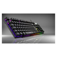 Incase Gaming Tastatur IKG-446 Regenbogen, RGB, dt. Layout retail