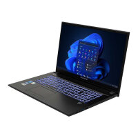 bluechip TRAVELline B17W27 i5-1335U W11Pro 17.3" 16GB 500GB SSD DVD±RW. Militärstandard