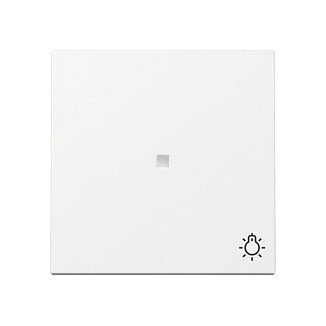 GIRA 367403 Wippe Kontrollf. + Symb. Licht System 55 Reinweiß