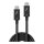 LINDY 1m Thunderbolt 4 Kabel, passiv