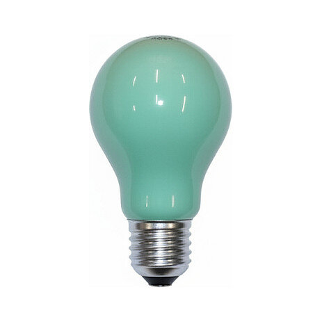 Scharnberger 40246 Glühlampe 25W grün B60x105mm E27 240V